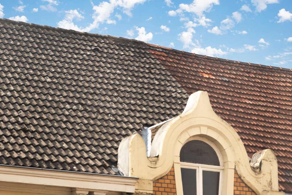 dakpan dakpannen roof tile roof tiles dutch nederlandse