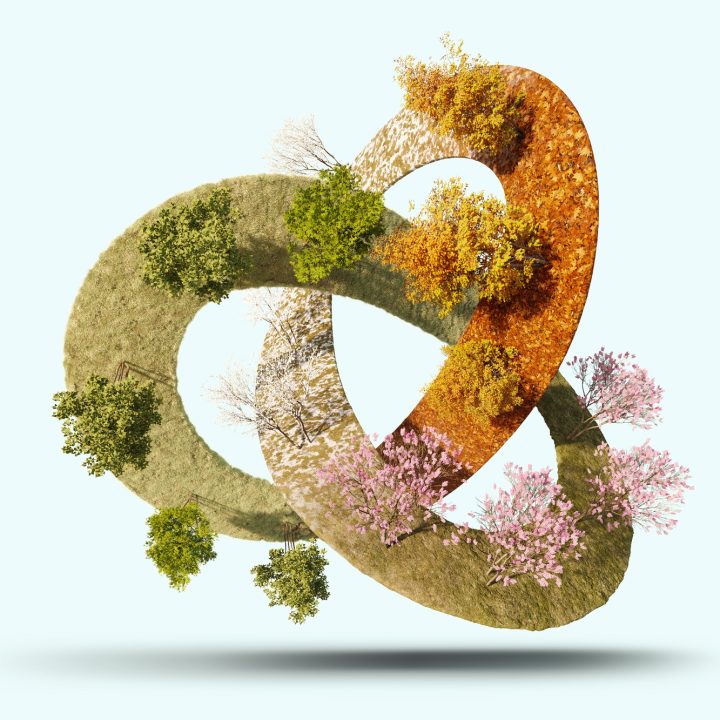 Preview Image article