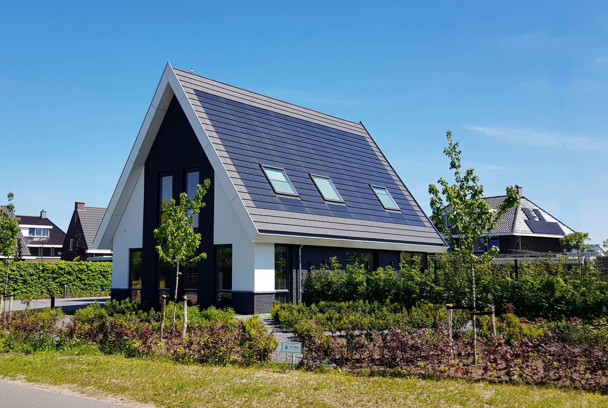 Solinso Project - dakvensters